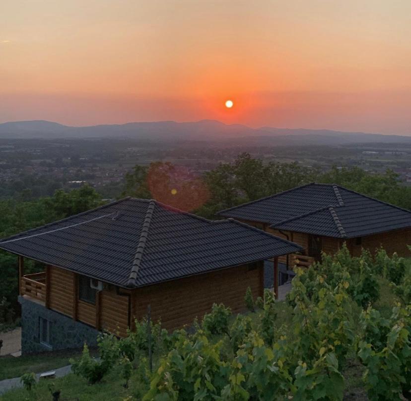 Boja Zalaska - Kameni Apartman Jagodina Εξωτερικό φωτογραφία
