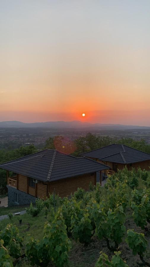 Boja Zalaska - Kameni Apartman Jagodina Εξωτερικό φωτογραφία